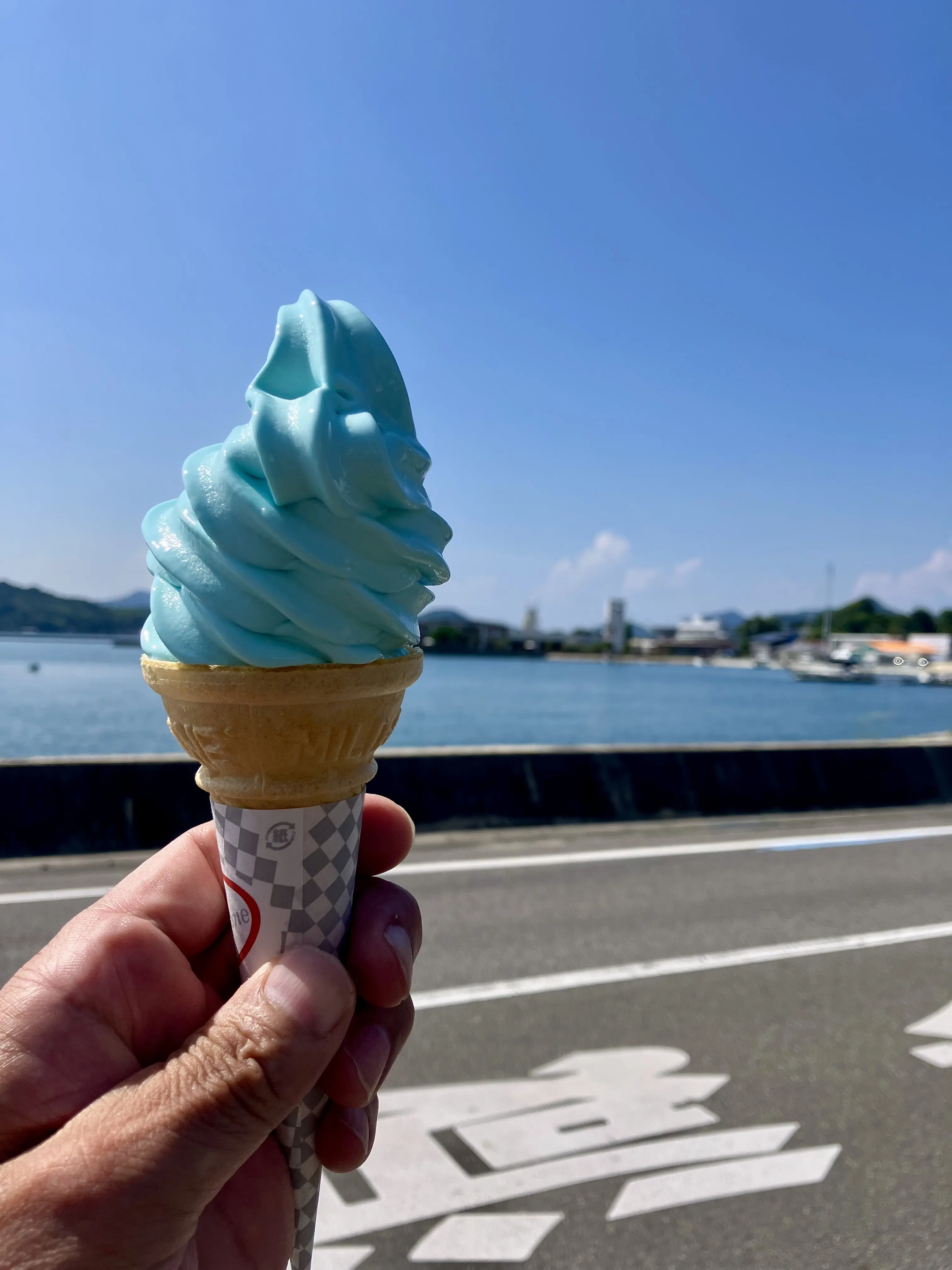 Salt Soft-Serve Ice Cream