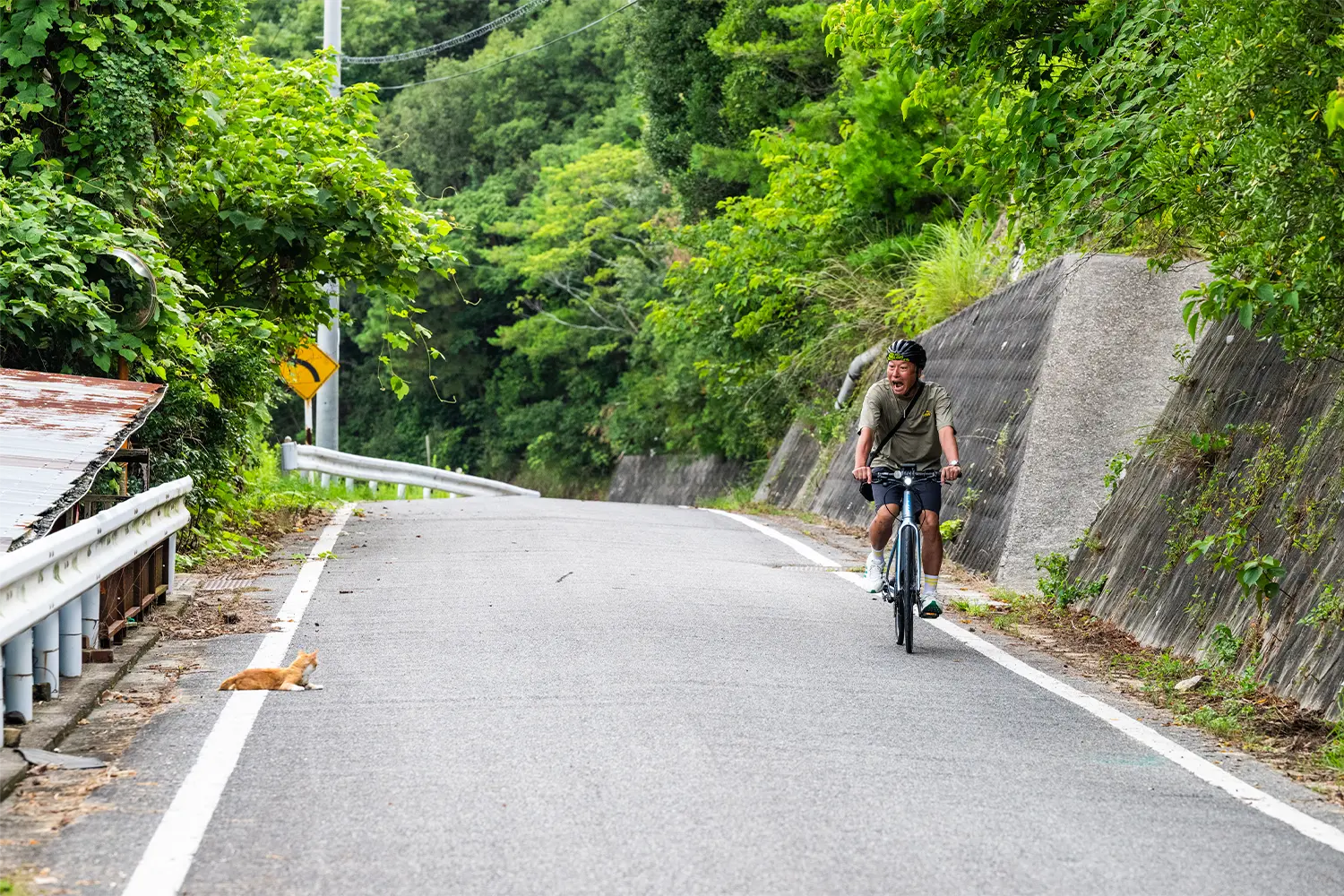 Road to Kushiyama Observatory