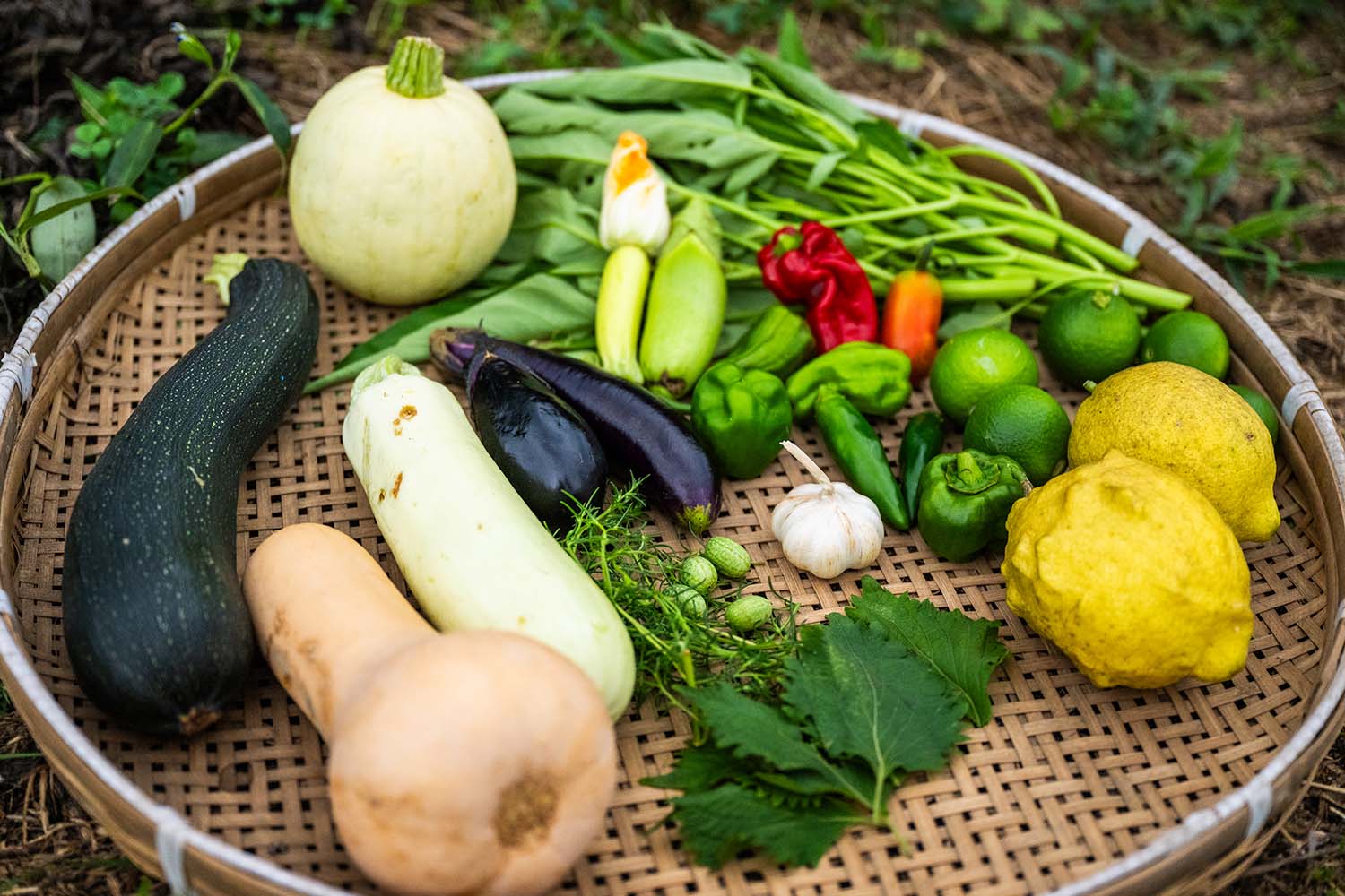 Vegetables from Shimashima Farm