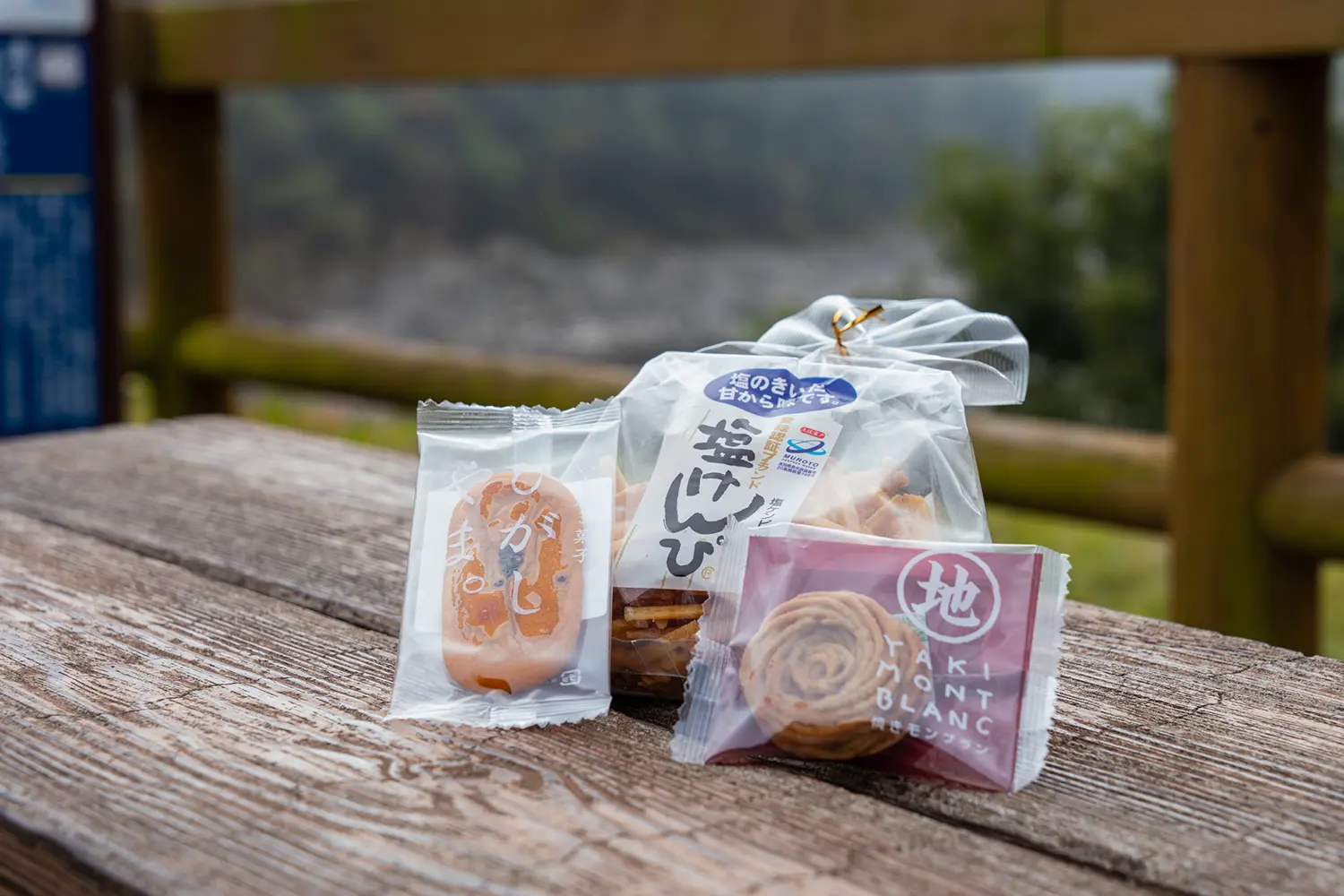 道の駅四万十とおわ