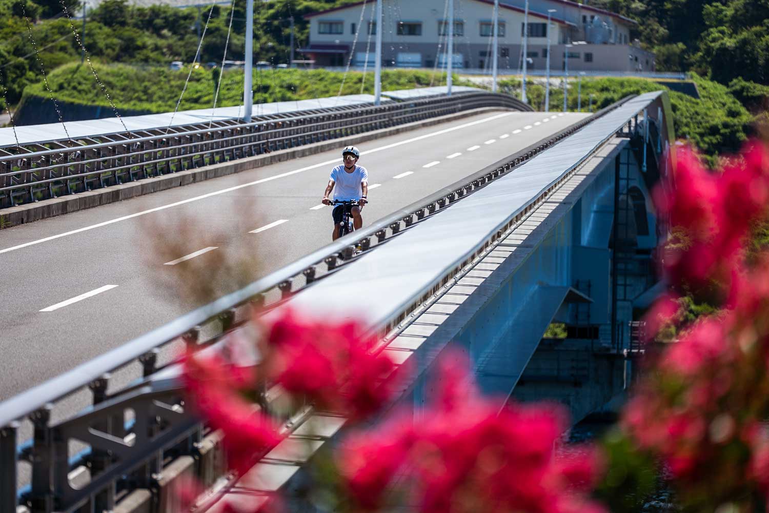Kushima Ohashi Bridge