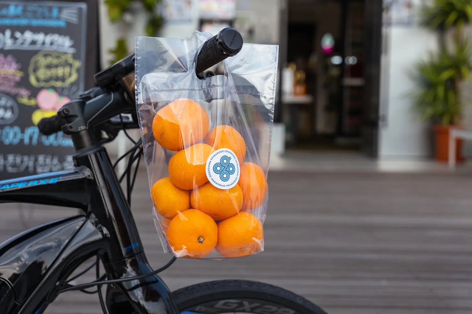 Shima no Eki Gogoshima (Yura Port)