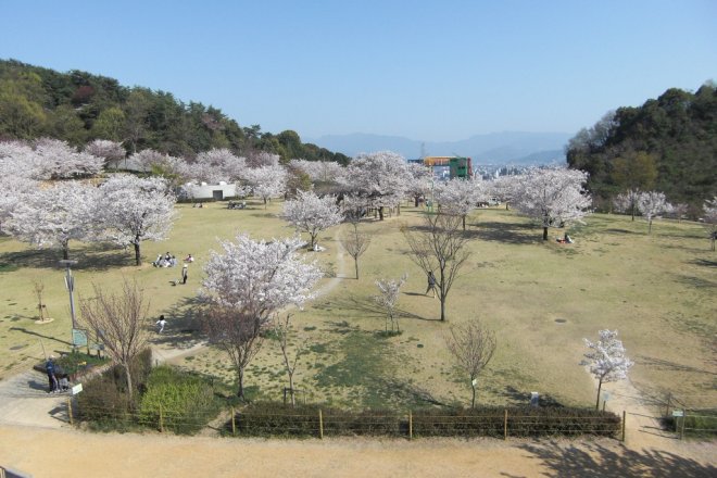 Matsuyama City Park