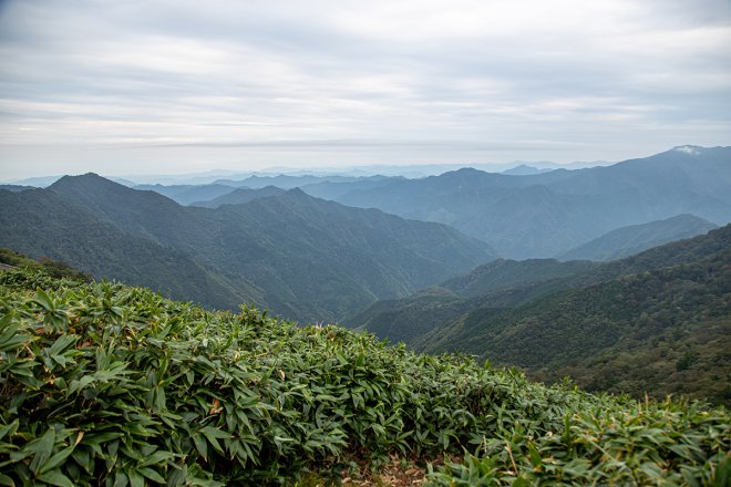 石鎚山系では、雄大な山々が織りなす絶景が待っている