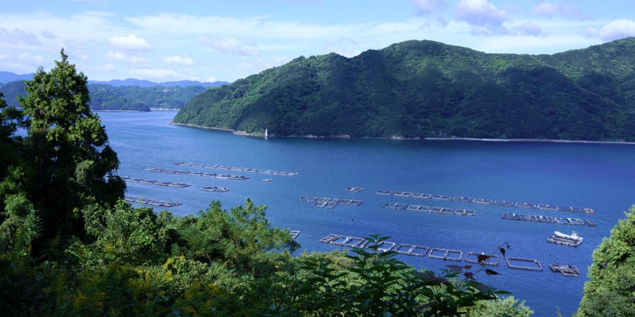 リアス式海岸が育む景観と文化を満喫する宇和海サイクリング